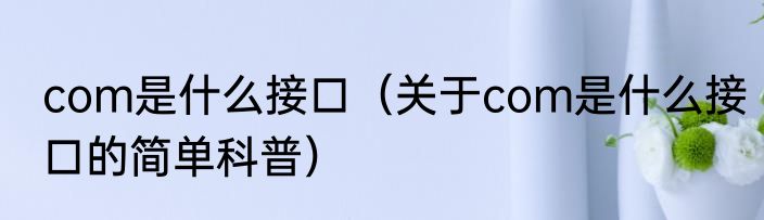 com是什么接口（关于com是什么接口的简单科普）