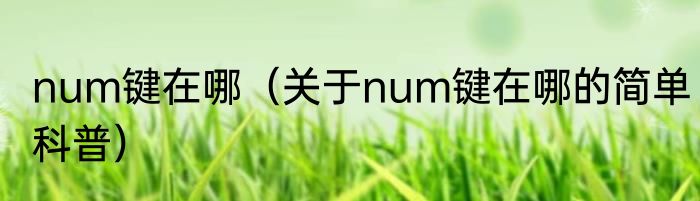 num键在哪（关于num键在哪的简单科普）