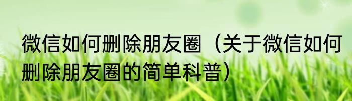 微信如何删除朋友圈（关于微信如何删除朋友圈的简单科普）