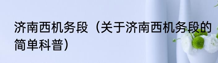 济南西机务段（关于济南西机务段的简单科普）