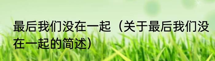最后我们没在一起（关于最后我们没在一起的简述）