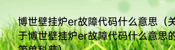 博世壁挂炉er故障代码什么意思（关于博世壁挂炉er故障代码什么意思的简单科普）