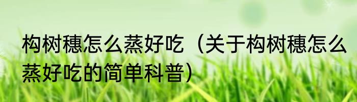 构树穗怎么蒸好吃（关于构树穗怎么蒸好吃的简单科普）