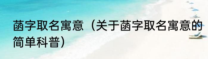 菡字取名寓意（关于菡字取名寓意的简单科普）