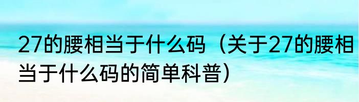 27的腰相当于什么码（关于27的腰相当于什么码的简单科普）