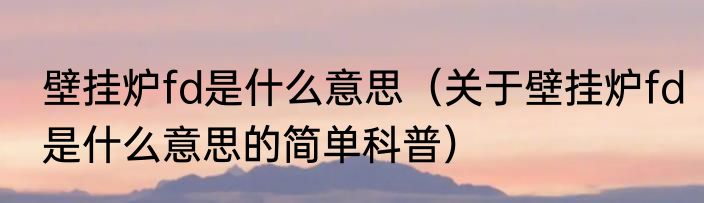 壁挂炉fd是什么意思（关于壁挂炉fd是什么意思的简单科普）