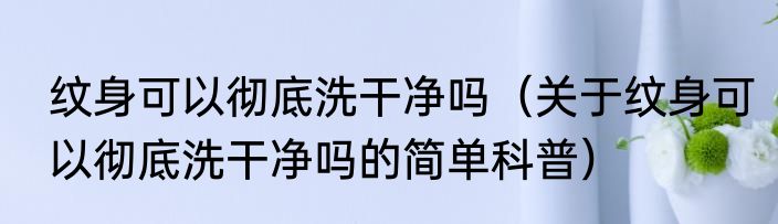 纹身可以彻底洗干净吗（关于纹身可以彻底洗干净吗的简单科普）
