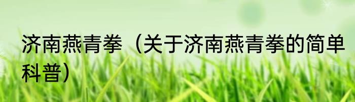 济南燕青拳（关于济南燕青拳的简单科普）