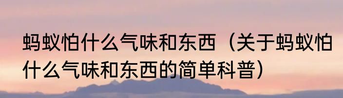 蚂蚁怕什么气味和东西（关于蚂蚁怕什么气味和东西的简单科普）