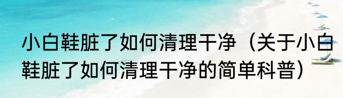 小白鞋脏了如何清理干净（关于小白鞋脏了如何清理干净的简单科普）