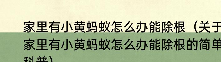 家里有小黄蚂蚁怎么办能除根（关于家里有小黄蚂蚁怎么办能除根的简单科普）
