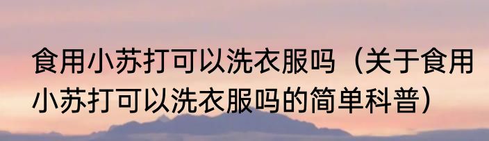 食用小苏打可以洗衣服吗（关于食用小苏打可以洗衣服吗的简单科普）