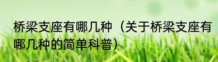 桥梁支座有哪几种（关于桥梁支座有哪几种的简单科普）