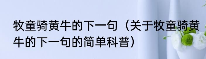 牧童骑黄牛的下一句（关于牧童骑黄牛的下一句的简单科普）
