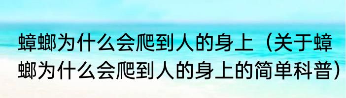 蟑螂为什么会爬到人的身上（关于蟑螂为什么会爬到人的身上的简单科普）