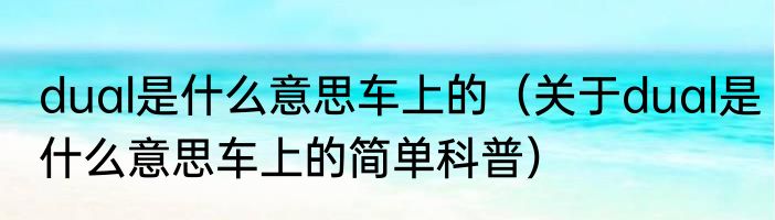 dual是什么意思车上的（关于dual是什么意思车上的简单科普）
