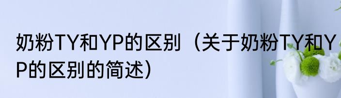 奶粉TY和YP的区别（关于奶粉TY和YP的区别的简述）