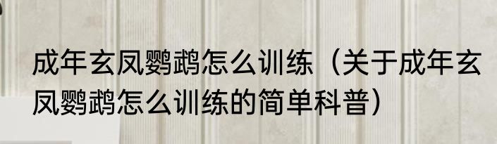 成年玄凤鹦鹉怎么训练（关于成年玄凤鹦鹉怎么训练的简单科普）