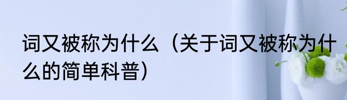 词又被称为什么（关于词又被称为什么的简单科普）