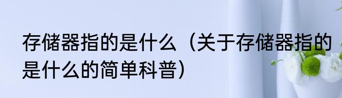 存储器指的是什么（关于存储器指的是什么的简单科普）