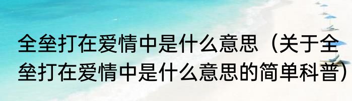 全垒打在爱情中是什么意思（关于全垒打在爱情中是什么意思的简单科普）
