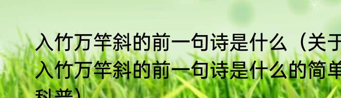 入竹万竿斜的前一句诗是什么（关于入竹万竿斜的前一句诗是什么的简单科普）