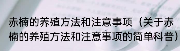 赤楠的养殖方法和注意事项（关于赤楠的养殖方法和注意事项的简单科普）