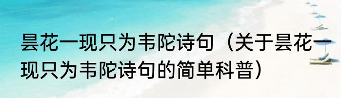 昙花一现只为韦陀诗句（关于昙花一现只为韦陀诗句的简单科普）