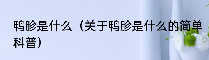 鸭胗是什么（关于鸭胗是什么的简单科普）
