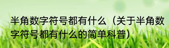 半角数字符号都有什么（关于半角数字符号都有什么的简单科普）
