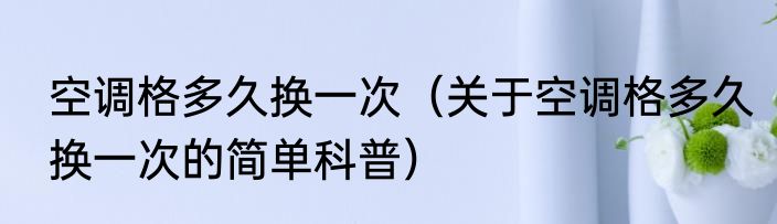 空调格多久换一次（关于空调格多久换一次的简单科普）
