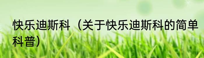 快乐迪斯科（关于快乐迪斯科的简单科普）