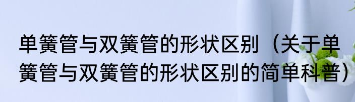 单簧管与双簧管的形状区别（关于单簧管与双簧管的形状区别的简单科普）