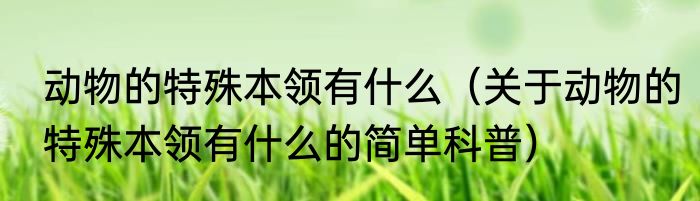 动物的特殊本领有什么（关于动物的特殊本领有什么的简单科普）