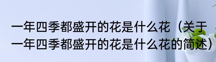 一年四季都盛开的花是什么花（关于一年四季都盛开的花是什么花的简述）