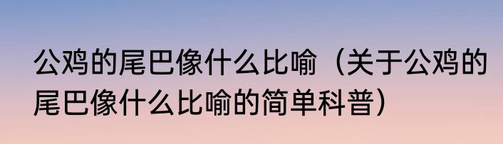 公鸡的尾巴像什么比喻（关于公鸡的尾巴像什么比喻的简单科普）