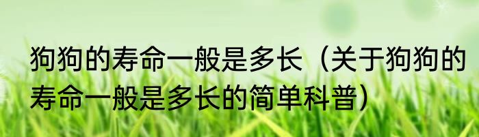 狗狗的寿命一般是多长（关于狗狗的寿命一般是多长的简单科普）