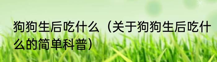狗狗生后吃什么（关于狗狗生后吃什么的简单科普）
