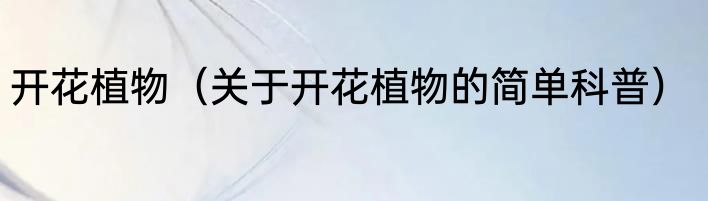 开花植物（关于开花植物的简单科普）