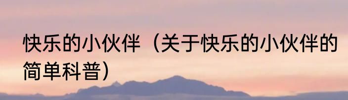 快乐的小伙伴（关于快乐的小伙伴的简单科普）