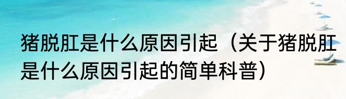 猪脱肛是什么原因引起（关于猪脱肛是什么原因引起的简单科普）