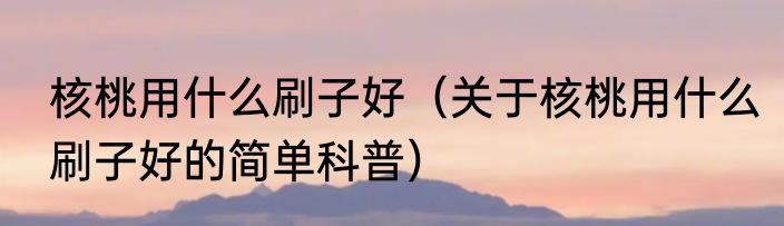 核桃用什么刷子好（关于核桃用什么刷子好的简单科普）