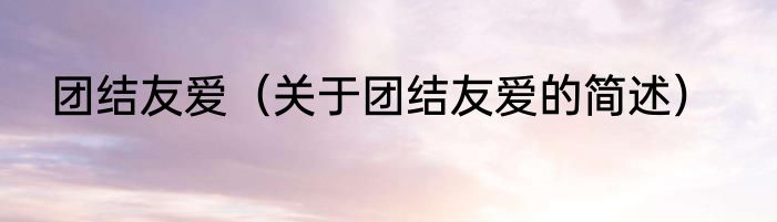 团结友爱（关于团结友爱的简述）