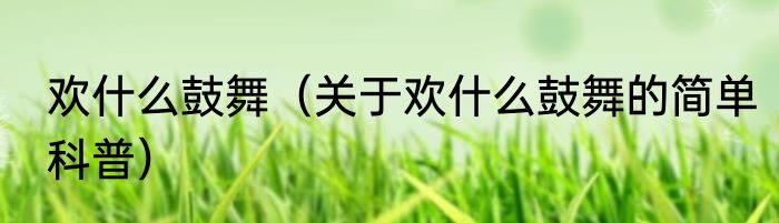 欢什么鼓舞（关于欢什么鼓舞的简单科普）