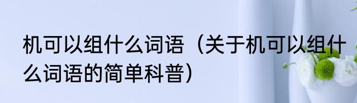 机可以组什么词语（关于机可以组什么词语的简单科普）