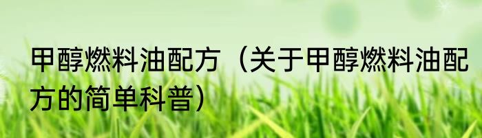 甲醇燃料油配方（关于甲醇燃料油配方的简单科普）