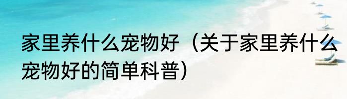 家里养什么宠物好（关于家里养什么宠物好的简单科普）