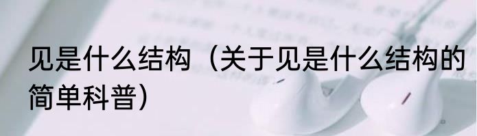见是什么结构（关于见是什么结构的简单科普）