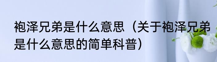 袍泽兄弟是什么意思（关于袍泽兄弟是什么意思的简单科普）