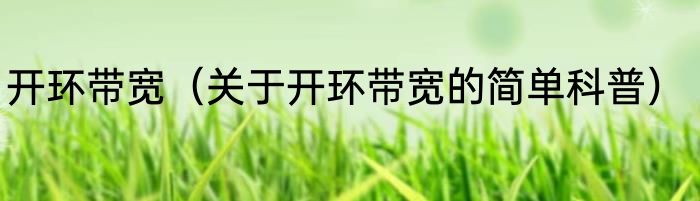 开环带宽（关于开环带宽的简单科普）